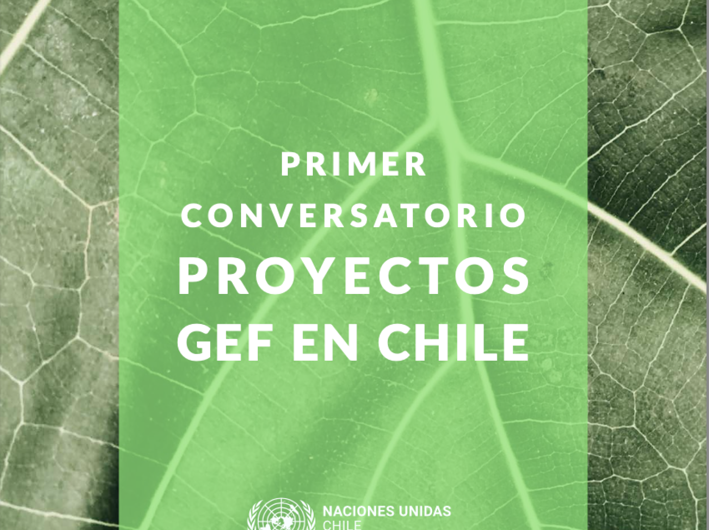 Primer ConversatorioProyectos GEF en Chile