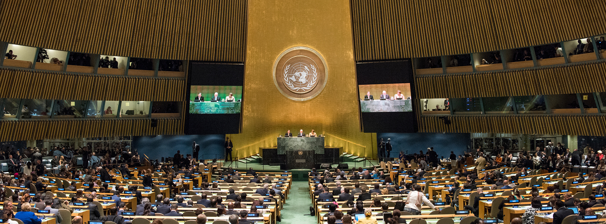Imagen Asamblea General de las Naciones Unidas
