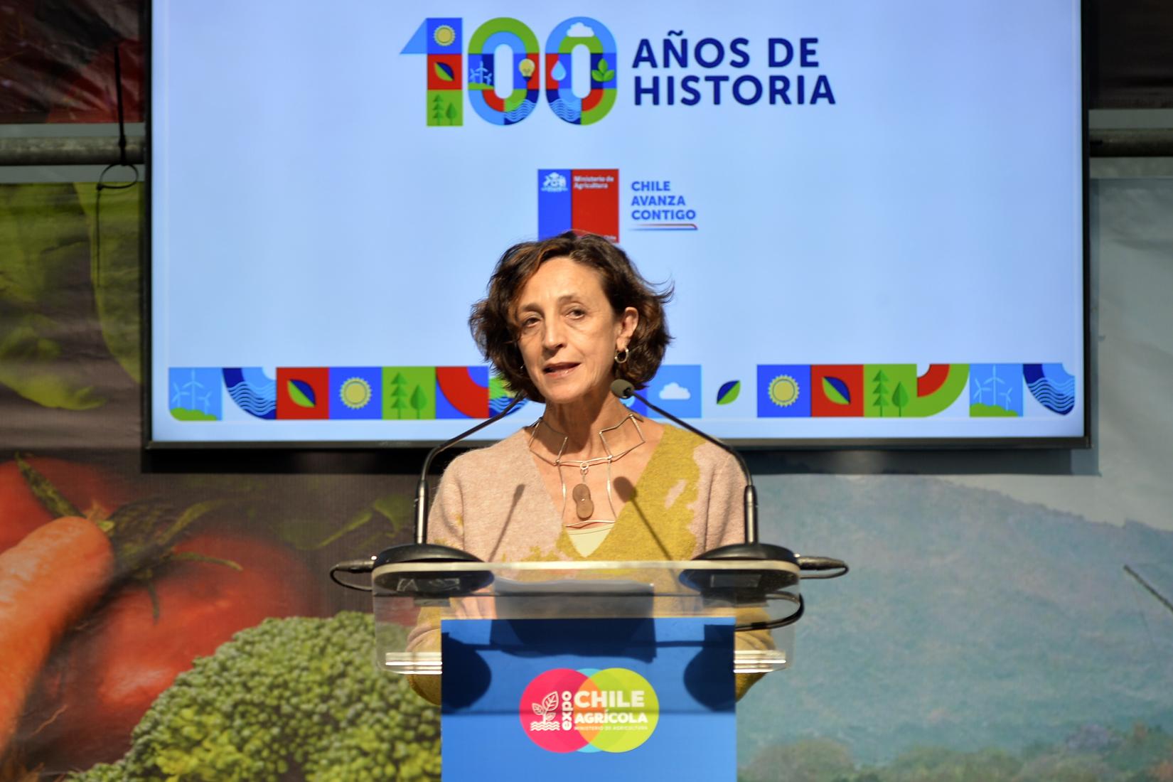 María José Torres, Coordinadora Residente de ONU Chile, entrega unas palabras