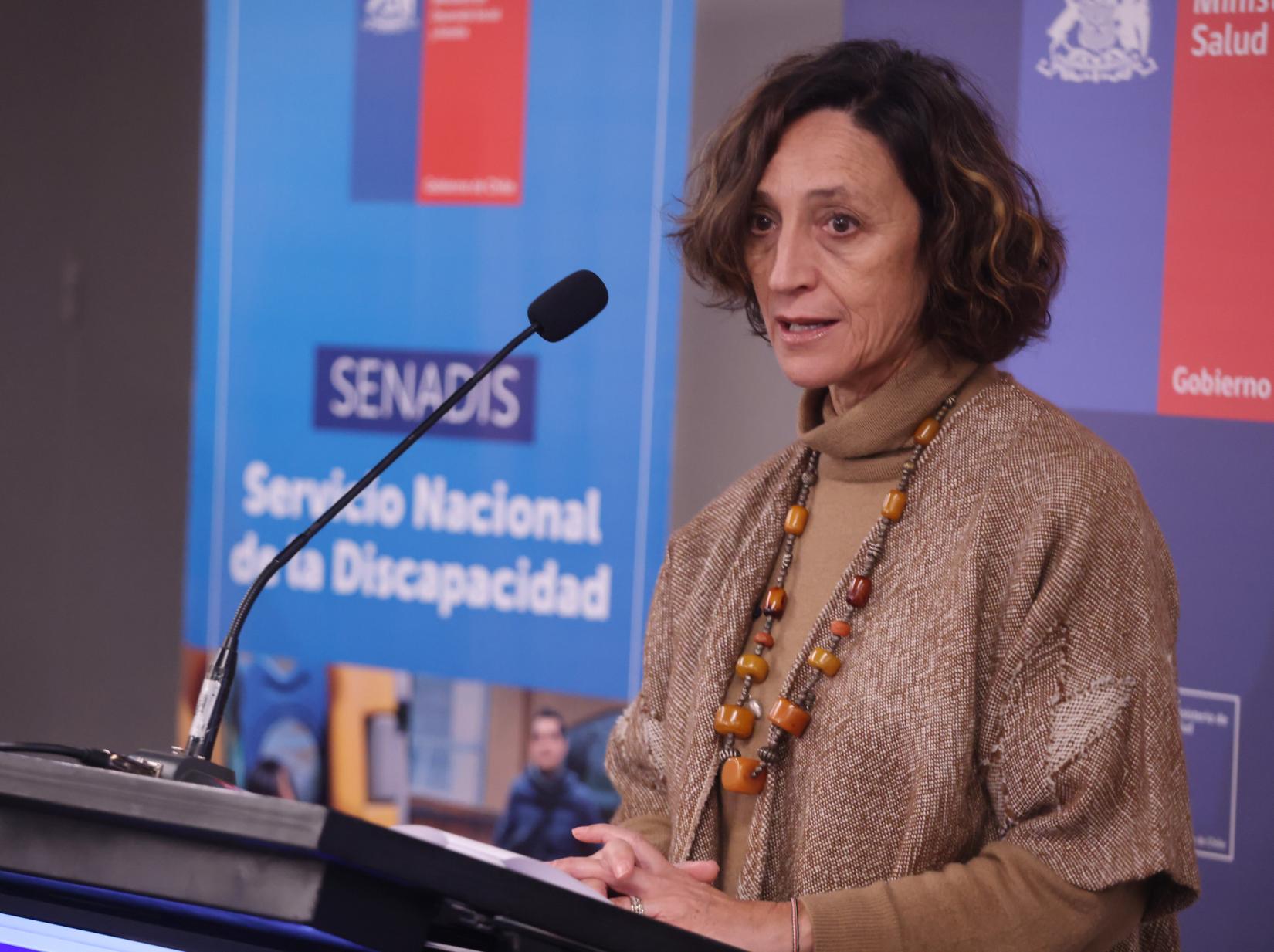 la Coordinadora Residente hablando durante la instancia con pendón de SENADIS de fondo