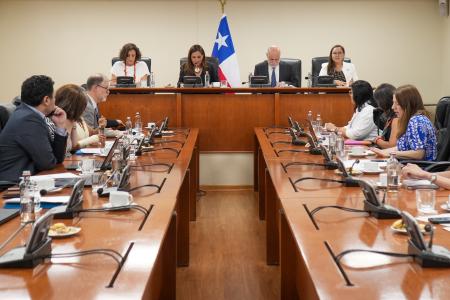 Reunión Comité Directivo Conjunto 2024 en Minrel