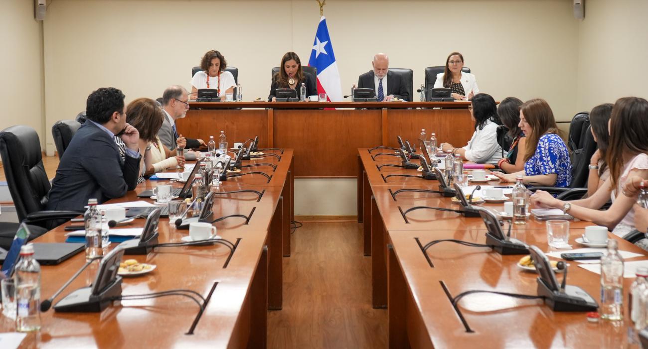 Reunión Comité Directivo Conjunto 2024 en Minrel