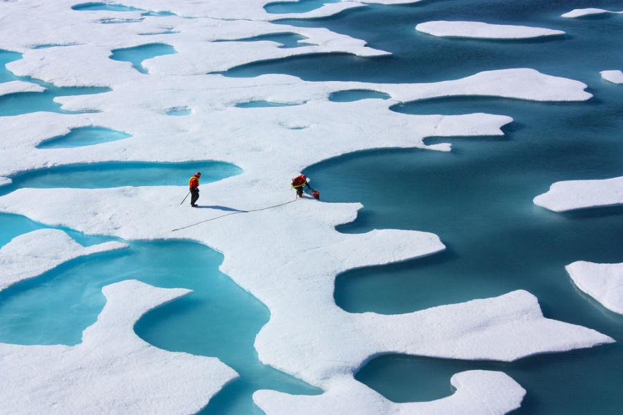 nasa, hielo marino, onu, cop26