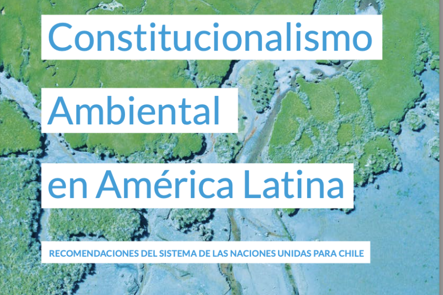 Constitucionalismo Ambiental 