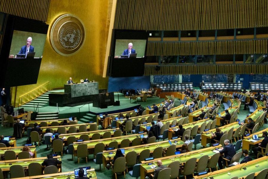 asamblea onu panoramica