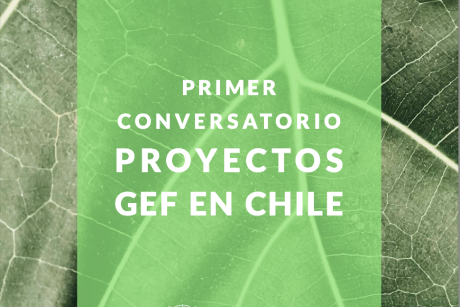 Primer diálogo sobre proyectos GEF en Chile