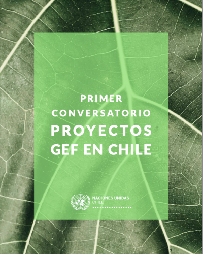 Primer ConversatorioProyectos GEF en Chile