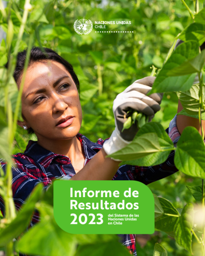 Mujer trabajando en el campo, en la cosecha de porotos verdes_portada del Informa de Resultados