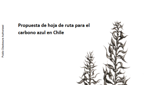 Propuesta de hoja de ruta para el carbono azul en Chile