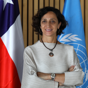 María José Torres_banderas cl y onu